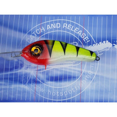 Dekker Custom Baits Crazy Shad Medium Shallow