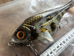 Ulm Lures Snackbite Farbe 2