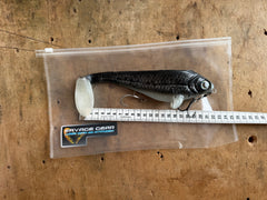 Ulm Lures Snackbite Farbe 3