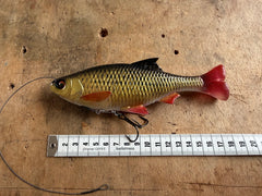 SG Line Thru Pulse Tail Roach 18cm Gold