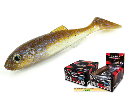 Molix RT Shad 5,5"
