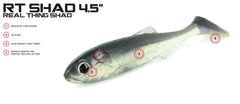 Molix RT Shad 4,5"