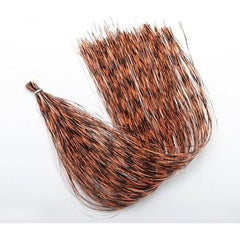 Barred Flashabou Hedron