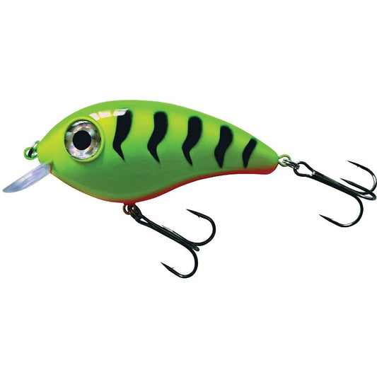 Predox Big Eye Joe