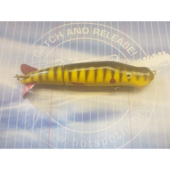CC Roberts Bait Company Schlammwelpe