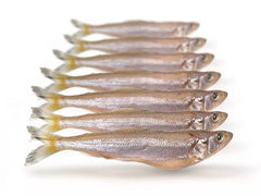 Doodaas Spiering (alleen afhalen in de winkel)