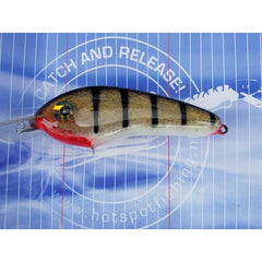 Dekker Custom Baits Crazy Shad Medium Shallow