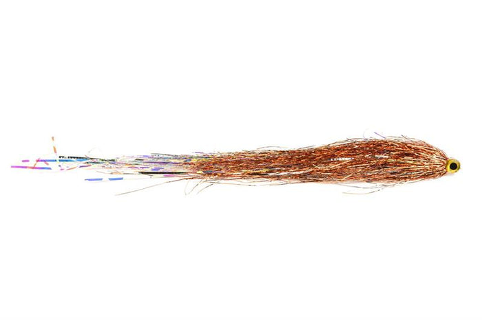 Bauer's Tubenfliege