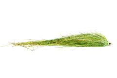 Bauer's Tubenfliege