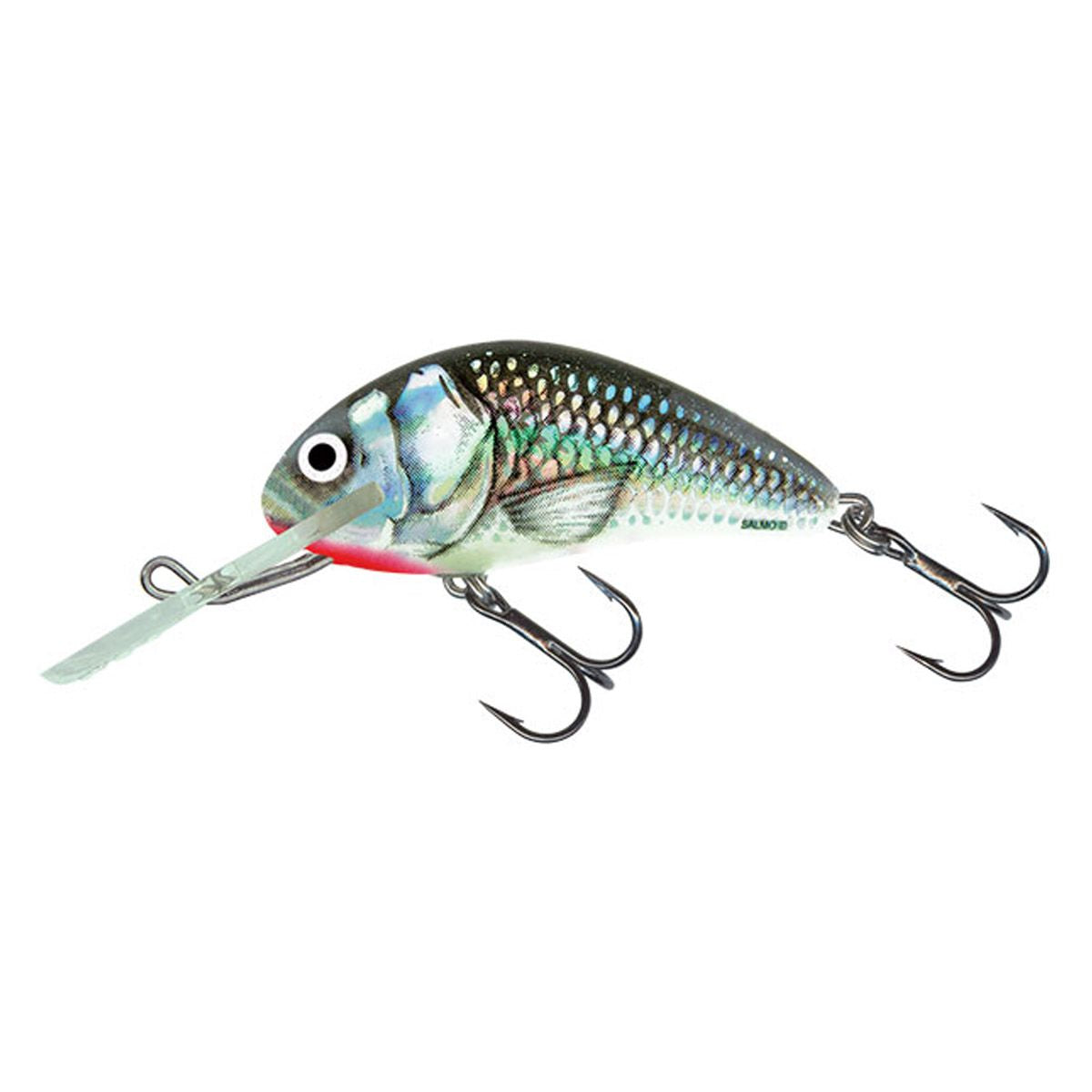 Salmo Hornet Schwimmend 6cm 