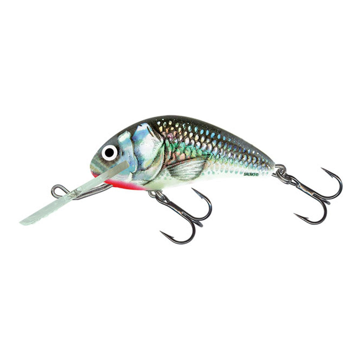 Salmo Hornet Sinking 4cm 