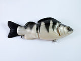 Lucky Lures Lucky Barsch