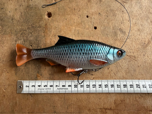 SG Line Thru Pulse Tail Roach 18cm Blau