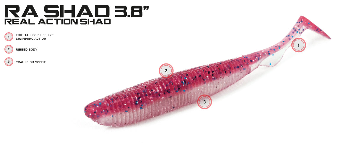 Molix RA Shad 3,8"