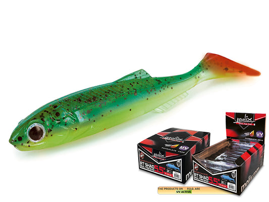 Molix RT Shad 5,5"