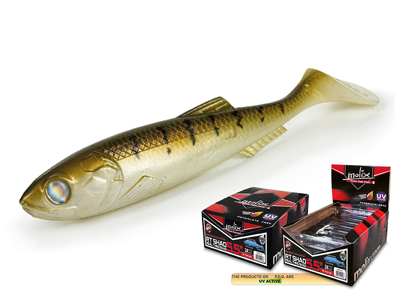Molix RT Shad 7"