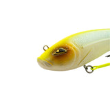Rozemeijer Tybrid Jr Vismeester Special