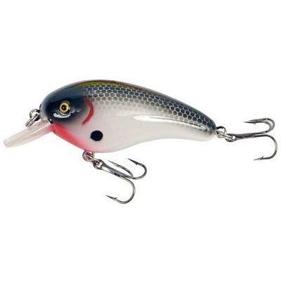 Predox Joes Serie
