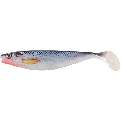 Balzer 3D Photo Print Shad 23 cm