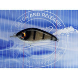 Dekker Custom Baits Crazy Shad Small Shallow