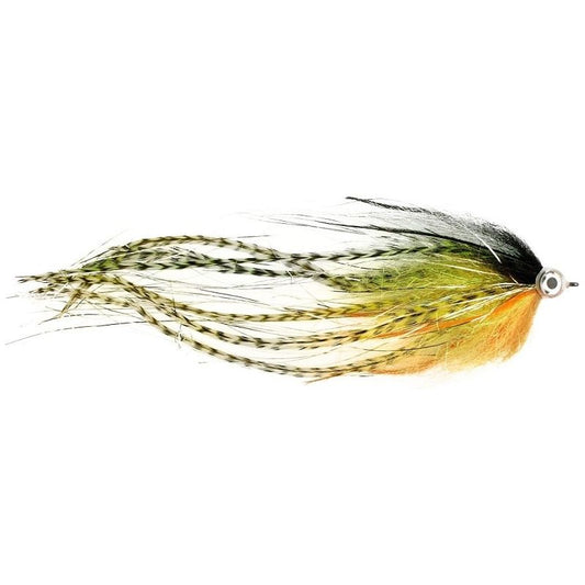 Predox Comet Raubfliegen