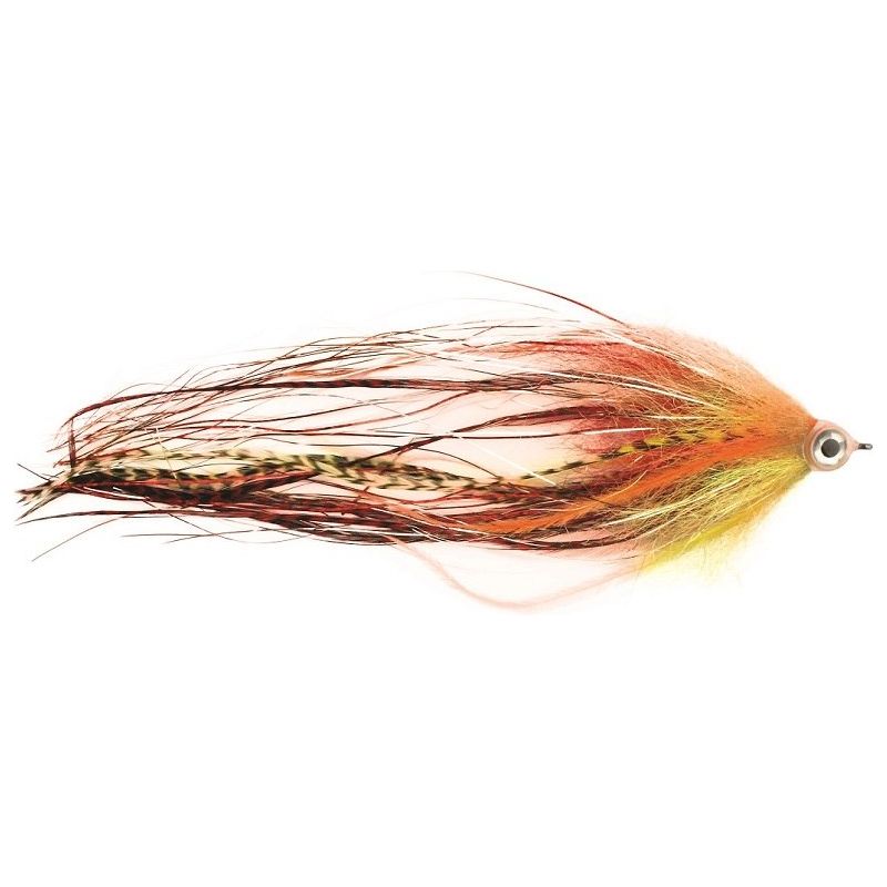 Predox Comet Raubfliegen