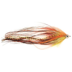 Predox Comet Raubfliegen