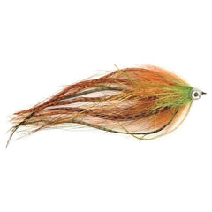 Predox Comet Raubfliegen