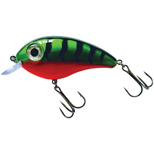 Predox Big Eye Joe