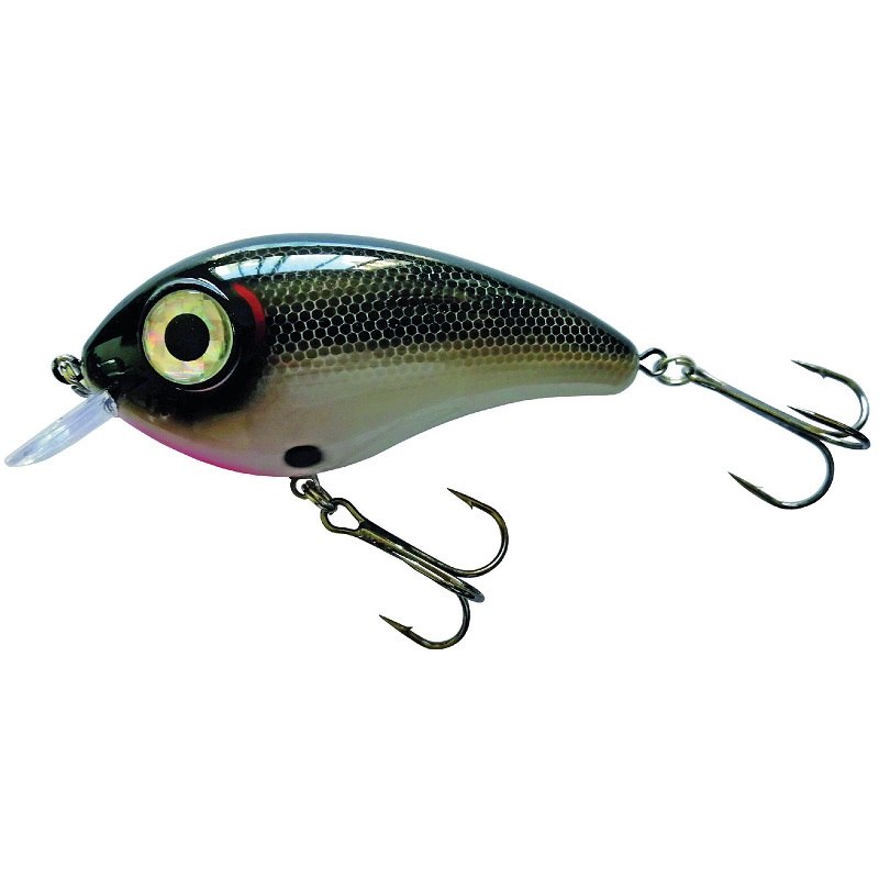 Predox Big Eye Joe