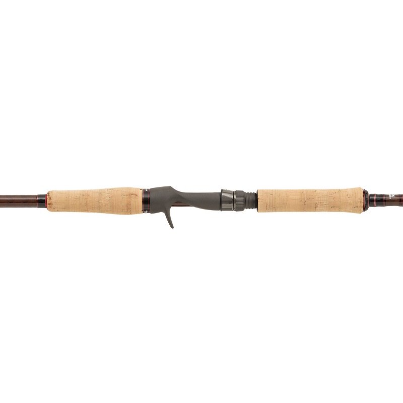Abu Carcia Beast Pro Casting-Ruten