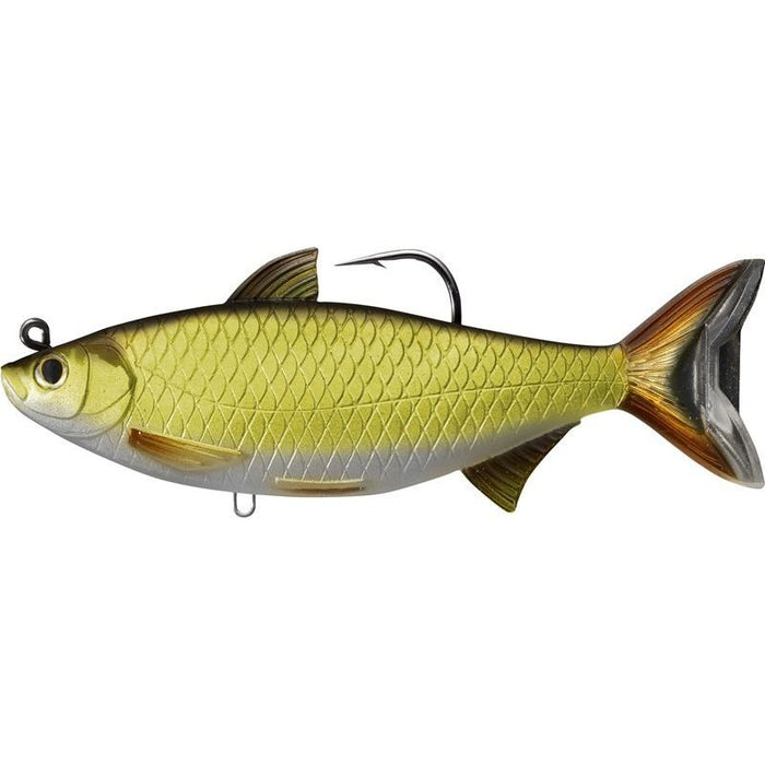 Lebendes Ziel Golden Shiner