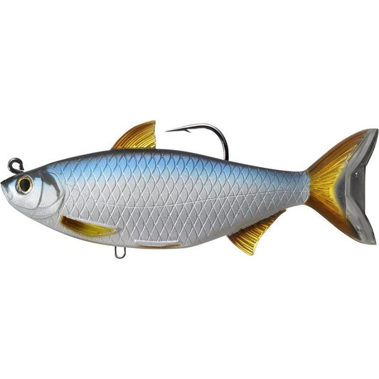 Lebendes Ziel Golden Shiner