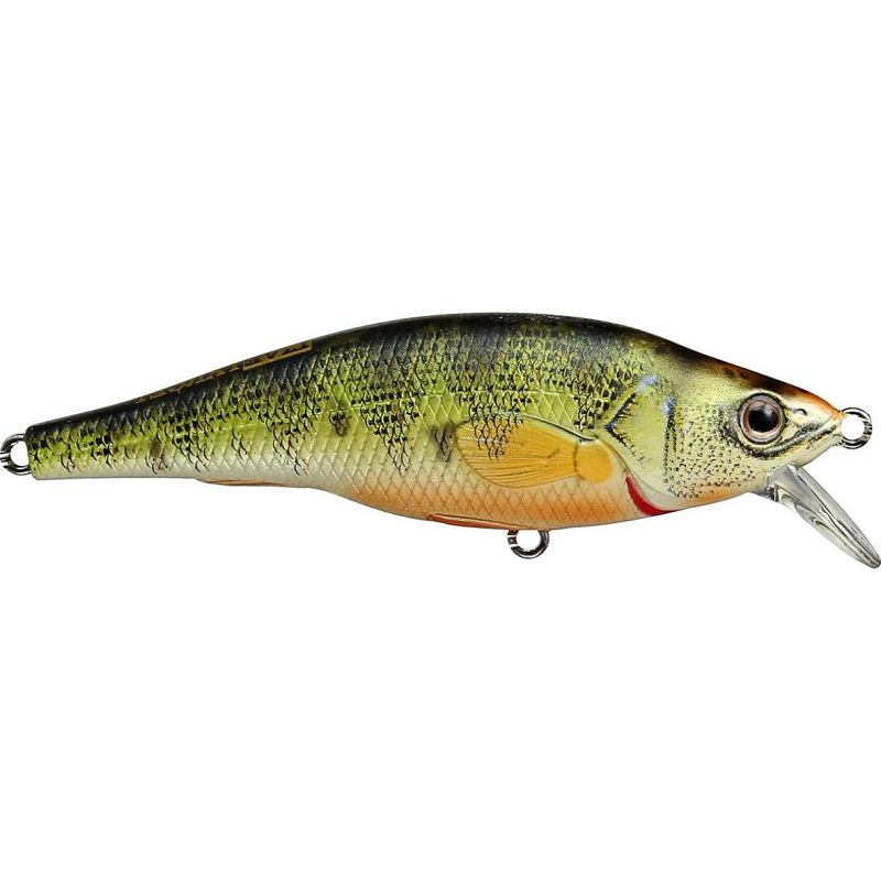 Lebend-Ziel Gelbbarsch Jerkbait Suspend