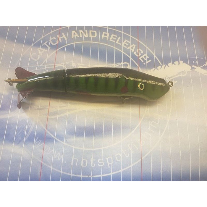 CC Roberts Bait Company Schlammwelpe