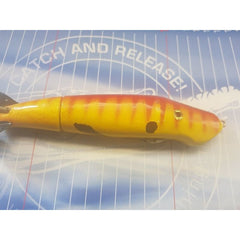 CC Roberts Bait Company Schlammwelpe