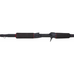 Abu Garcia Beast Pike Casting