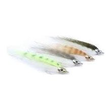 Fischschädel Köderfischköpfe
